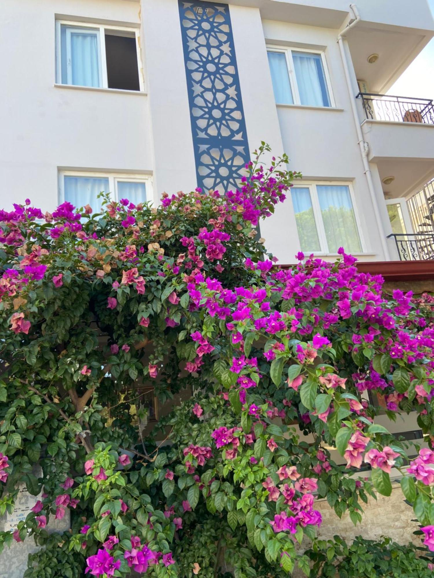 Serenity Suites Hotel Antalya Exterior photo